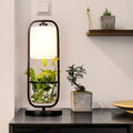 Augustus - Rahmen-Pflanzgefäß LED-Schreibtischlampe